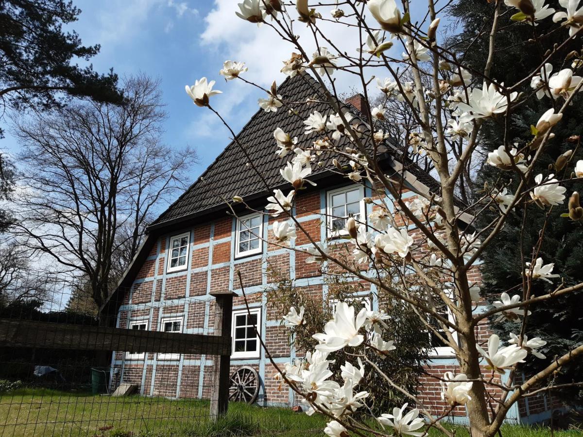 Schoenes Apartment Vor Den Toren Hamburgs - Keine Monteurwohnung 阿森多夫 外观 照片